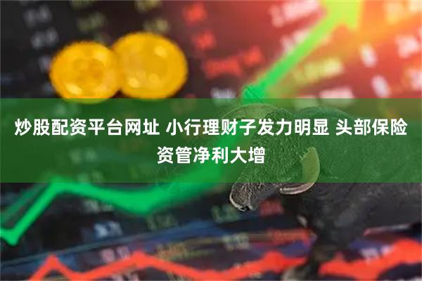 炒股配资平台网址 小行理财子发力明显 头部保险资管净利大增